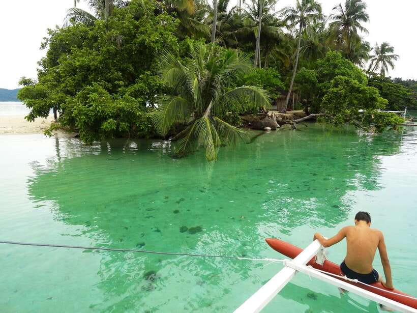 Port Barton: Island Hopping to Turtle Spot & Reef with Lunch - Key Things I’d Bet You’ll Care About