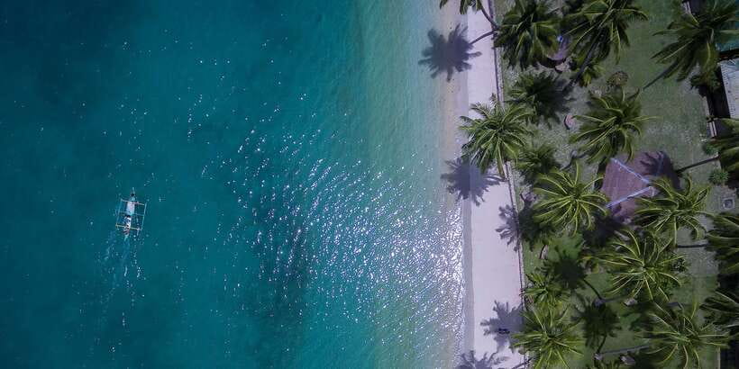 Port Barton: Island Hopping to Turtle Spot & Reef with Lunch - Lunch on the Beach: BBQ Food That Actually Fits the Day