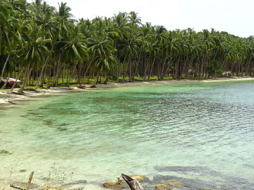 Port Barton: Island Hopping to Turtle Spot & Reef with Lunch - Practical Tips Before You Go (So You Don’t Waste Your Day)