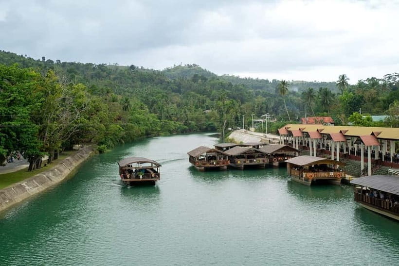 PREMIUM Bohol Eco-Tours: Chocolate hills - Bilar Man-Made Forest: the cool mahogany tunnel
