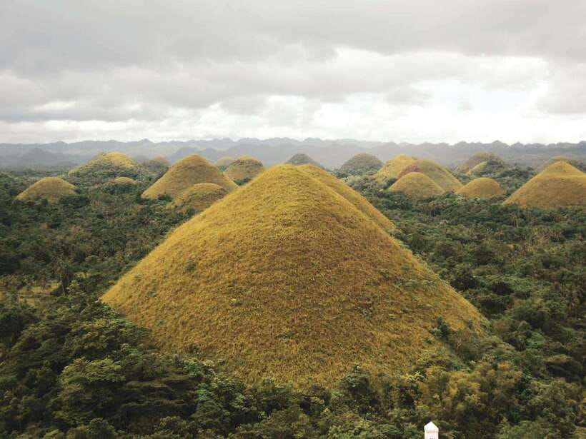 PREMIUM Bohol Eco-Tours: Chocolate hills - Hotel pickup, timing, and how the day flows