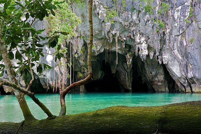 Private 4-kilometer Puerto Princesa Underground River Tour with lunch - Price and value: $250 per person for a private, longer cave day