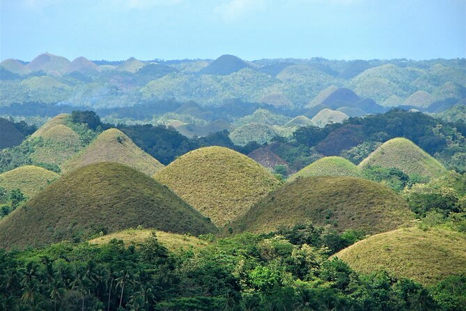 Private Bohol and Chocolate Hills with Loboc River Cruise - Price and What You Actually Get for $107.70