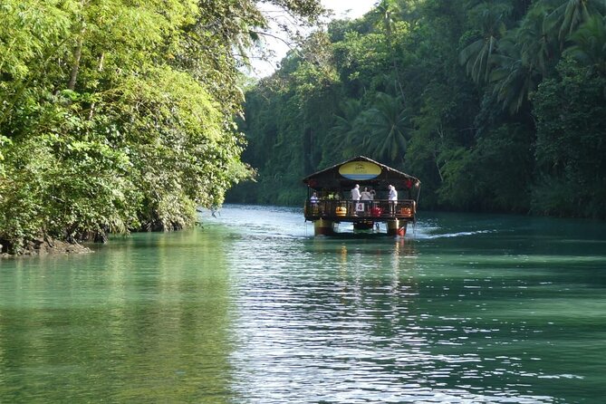 Private Bohol and Chocolate Hills with Loboc River Cruise - How the Whole Route Feels as One Connected Experience