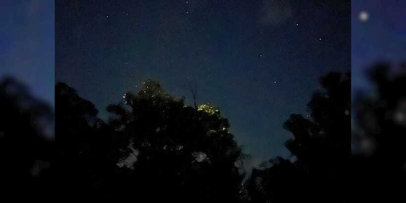 Private Firefly Watching Night Cruise on Bohol Abatan River - Value for $57 per person, and when it feels worth it