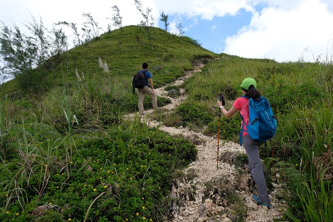 Private Kawasan Falls and Osmena Peak Day Trip from Cebu City - Osmeña Peak: The Short Hike to the Sea and Mountain Mix