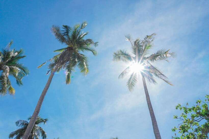 Puerto Princesa: Cowrie Island Guided Day Tour with Meal - The Included Barbecue Brunch Menu and What You Can Expect