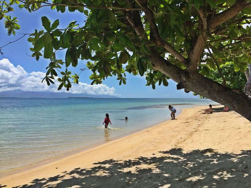 Puerto Princesa: Cowrie Island Guided Day Tour with Meal - Hotel Pickup, Paperwork at the Wharf, and the Boat Ride