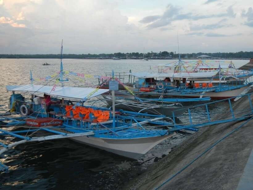 Puerto Princesa: Firefly Watching Bay Cruise with Dinner - What to Bring for a Night You’ll Want to Enjoy, Not Just Survive