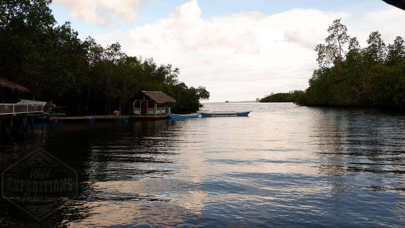 Puerto Princesa: Firefly Watching Paddle Boat Tour & Dinner - Puerto Princesa firefly watching, with dinner built in
