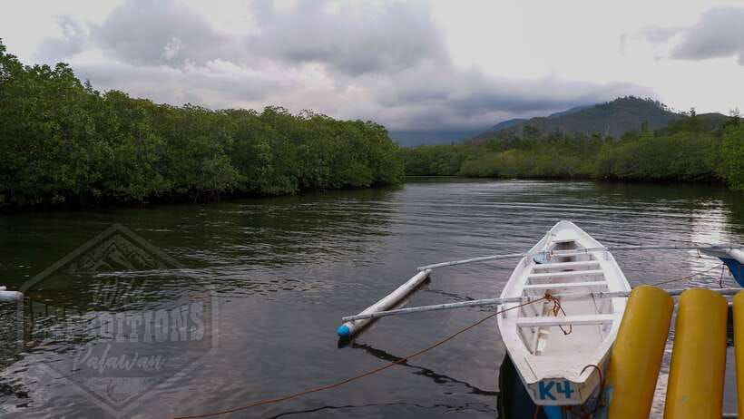 Puerto Princesa: Firefly Watching Paddle Boat Tour & Dinner - Your evening logistics: pickup, Baywalk, and why timing matters