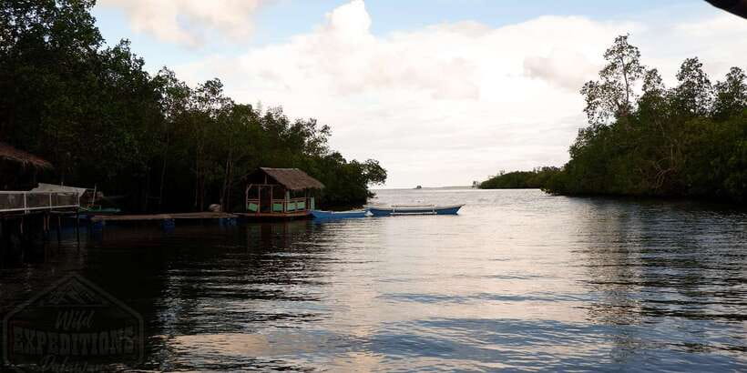 Puerto Princesa: Firefly Watching Paddle Boat Tour & Dinner - Paddle boat on the river: the calm view you came for