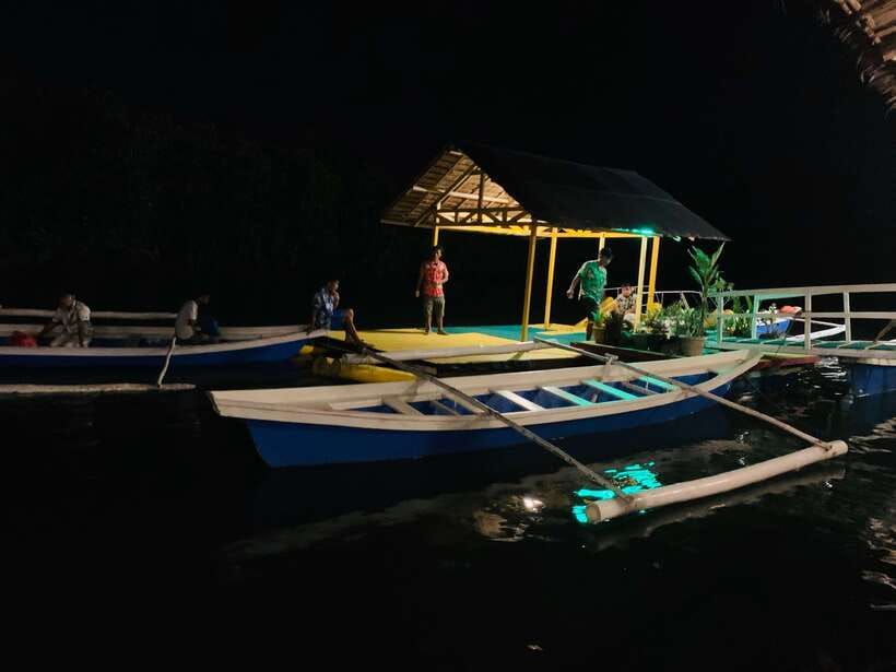 Puerto Princesa: Jungle Firefly Watching Boat Tour & Dinner - Firefly Watching in Puerto Princesa, The Part That Actually Matters