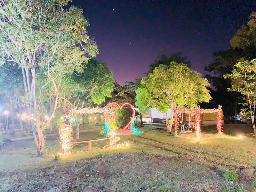 Puerto Princesa: Jungle Firefly Watching Boat Tour & Dinner - The Village With Fewer Lights, This Is Where the Magic Gets Real