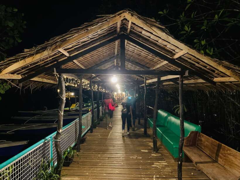 Puerto Princesa: Jungle Firefly Watching Boat Tour & Dinner - The 4-Hour Flow: Pickup Around 4:30 PM to Fireflies at Night