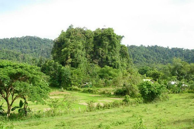 Puerto Princesa Underground river excursion tour UNESCO - Puerto Princesa Underground River: the UNESCO factor you will actually feel
