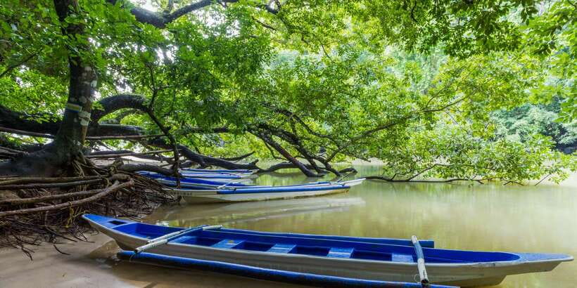 Puerto Princesa Underground River Tour in Palawan - Lunch at Cacaoyan or Gusto Grill: A Real Pause in the Middle
