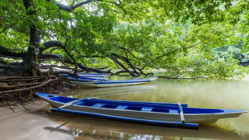 Puerto Princesa Underground River Tour in Palawan - Sabang Wharf to the Underground River: Boat Transfer and What to Expect