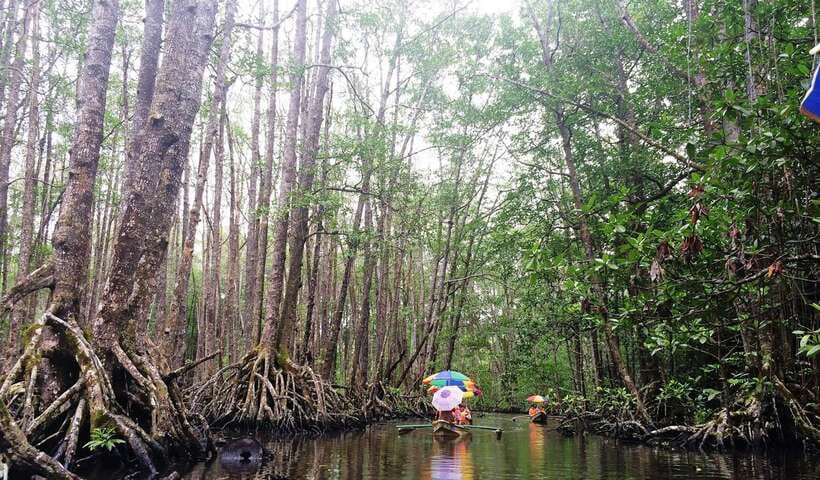 Puerto Princesa: Underground River, Zipline, Paddleboat Tour - Price and Value Around $77, Including Entrance Fees and Audio
