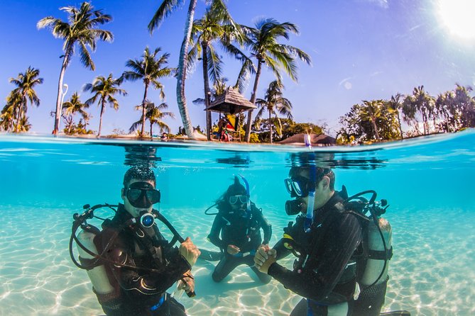 Scuba Diver Course (PADI) - Day Flow: What You’ll Experience While Getting Ready for 12 Meters