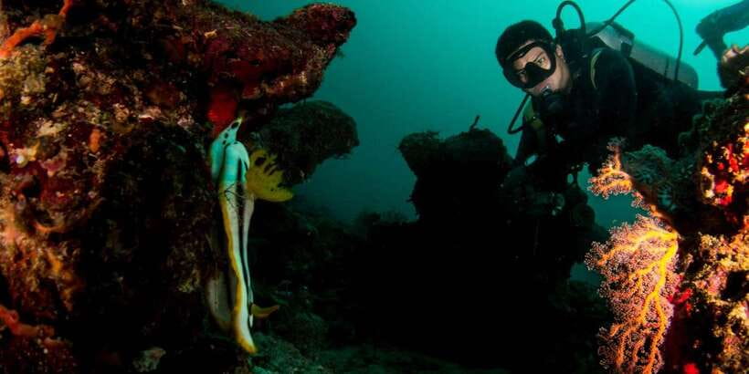 Scuba Diving in Boracay: SSI Basic Diver for Beginners - Practical tips for a smoother first underwater session