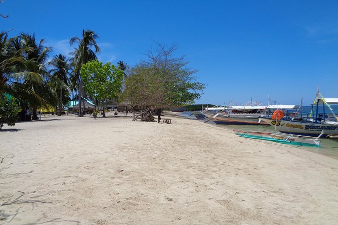 Shore excursion: Puerto Princesa Island Hopping Tour - Stop 1, Honda Bay: Your First Swim and Snorkel in Calm Waters