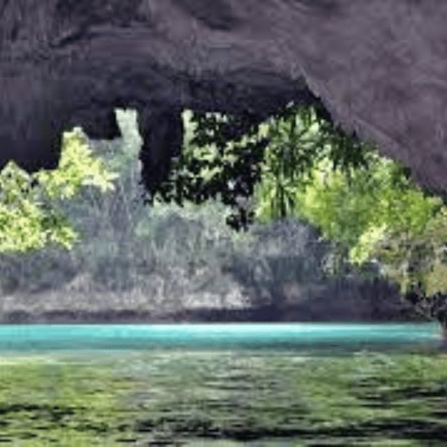 Siargao:Sohoton Island Hopping Tour with Jellyfish Sanctuary - Jellyfish Sanctuary snorkel: how to maximize your odds