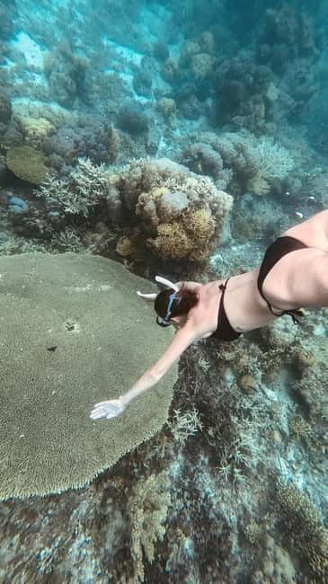 Siquijor: Jeepney Island Tour with Snorkeling - Pitogo cliff and Balite fish spa: two very different ways to feel Siquijor