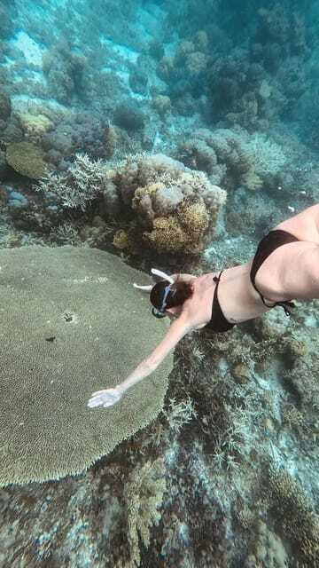 Siquijor: Jeepney Island Tour with Snorkeling - Who this Siquijor tour suits best