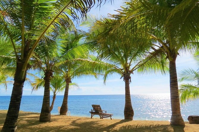 Siquijor Land Tour - Siquijor Butterfly Sanctuary: short on time, easy on your schedule