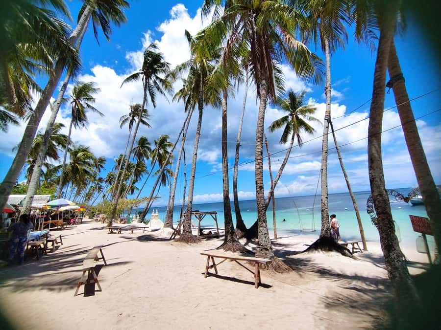 Siquijor: Siquijor Island Tour Cambugahay Falls Private - Old Balete Fish Spa: A Sensory Stop That’s Easier Than It Sounds