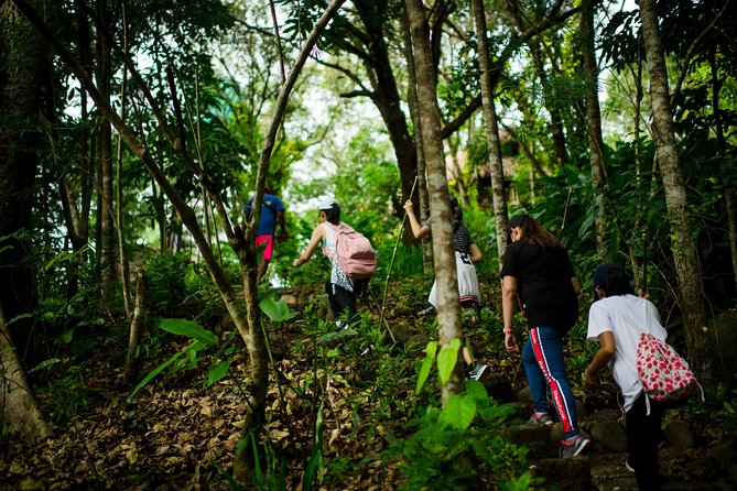 Skip the Line: Hike Eat Swim at Mount Purro Nature Reserve Ticket - How the timing works, choosing your hike slot and locking in lunch