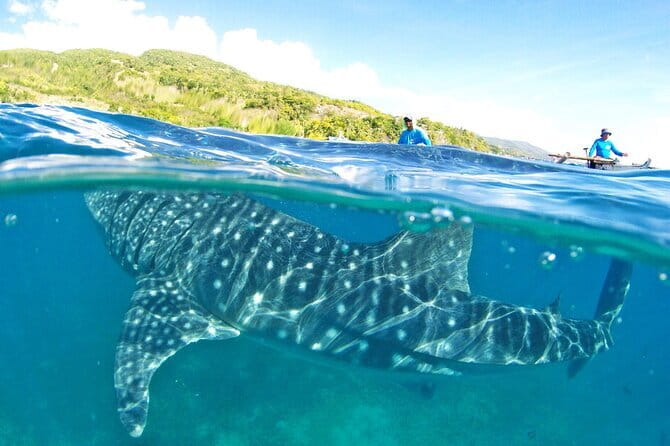 Small Group Moalboal and Badian’s Ultimate Adventure Tour - Price and value: is $99.99 a bargain?