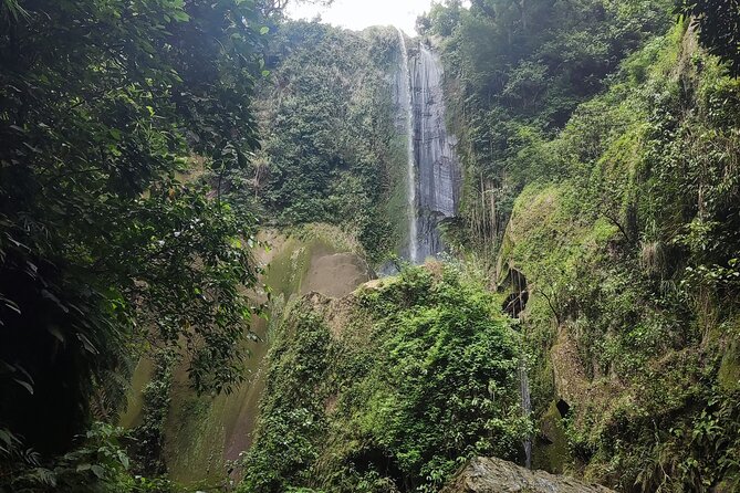 Taal Volcano Experience & A Hidden Waterfalls: A Dual Adventure - Lake Taal boat cruise: the volcano island view you can only get this way
