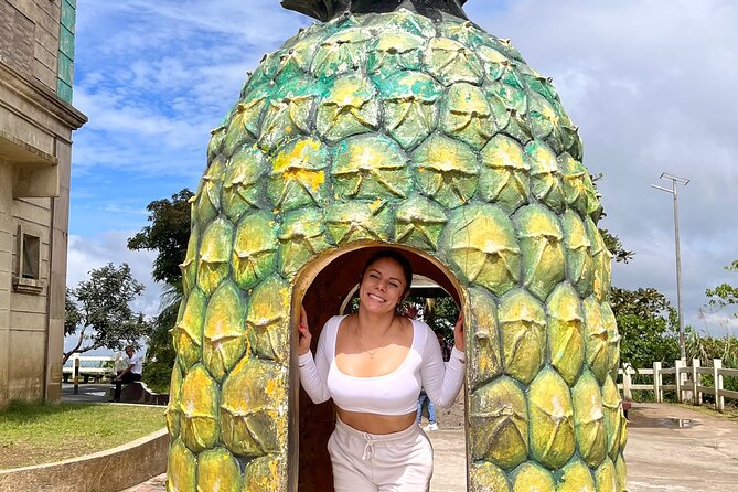 Tagaytay Day Tour sightseeing with Panoramic Taal volcano view - Fresh fruit market stalls: the quick taste stop that actually helps