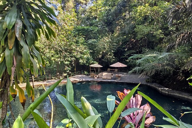 Tagaytay + Hidden Valley Springs: A Scenic Escape w/ Transfers - Price and Value: What You Get for About $200