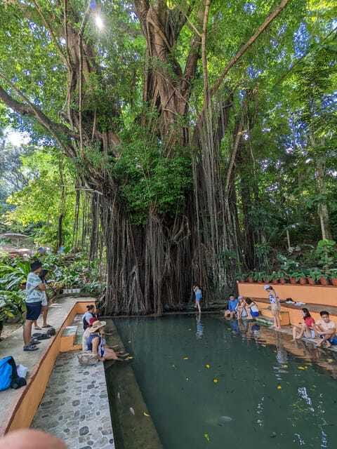 The Best of Siquijor Island Tour - Butterfly Sanctuary walk: color, quiet paths, and an easy photo stop