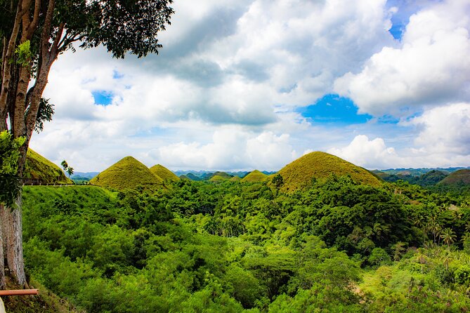 The tour of the must-see sites of Bohol - Panga Falls: lunch + a break that breaks up the day