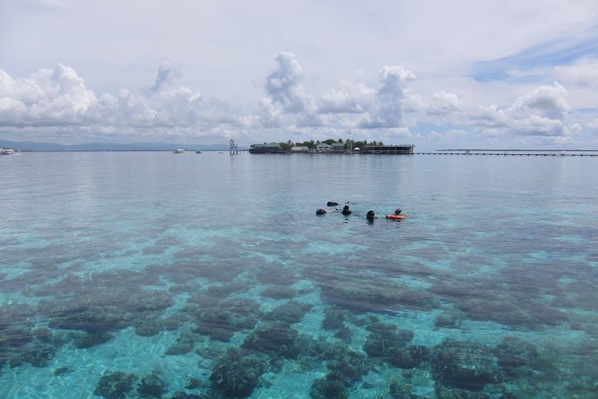 Twin Island Snorkeling Adventure at Hiltungan and Nalsuan - Why Hiltungan and Nalusuan Is Such a Practical Snorkeling Day From Cebu