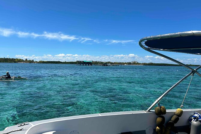 Twin Island Snorkeling Adventure at Hiltungan and Nalsuan - What Is Provided, What Is Not, and What You Should Bring