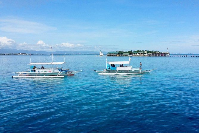 Twin Island Snorkeling Adventure at Hiltungan and Nalsuan - Nalusuan Island Marine Sanctuary: Shallow Reef Snorkeling Made for Real Sightings