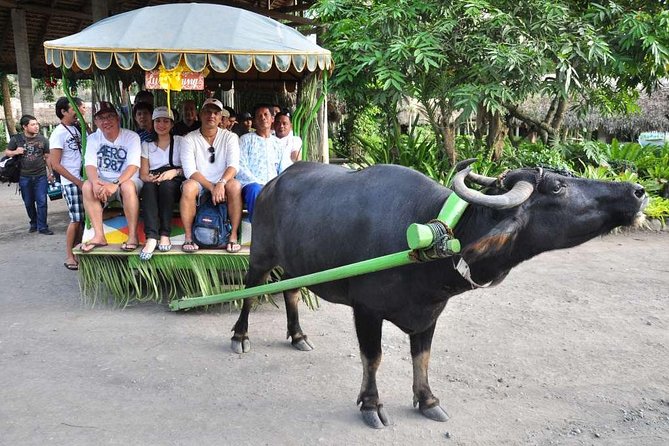 VILLA ESCUDERO DAY TOUR with Carabao Cart Ride and Bamboo from Manila - The early start and your ride down from Manila