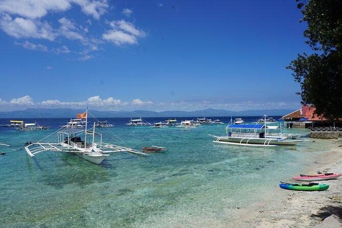 Whale Shark, Canyoneering, Sardines Run and Turtles with Transpo - A 3-Stop Cebu Day That Hits Different Parts of the Coast