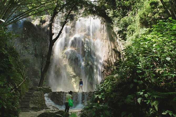 Whale Shark Encounter and Tumalog Waterfalls Tour - Whale sharks in Oslob: why this day feels different