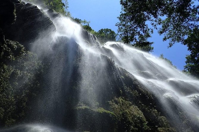 Whale Shark & Tumalog Falls & Sumilon Sandbar & Pescador Island with Sardines - A 16-hour Cebu circuit that starts before sunrise