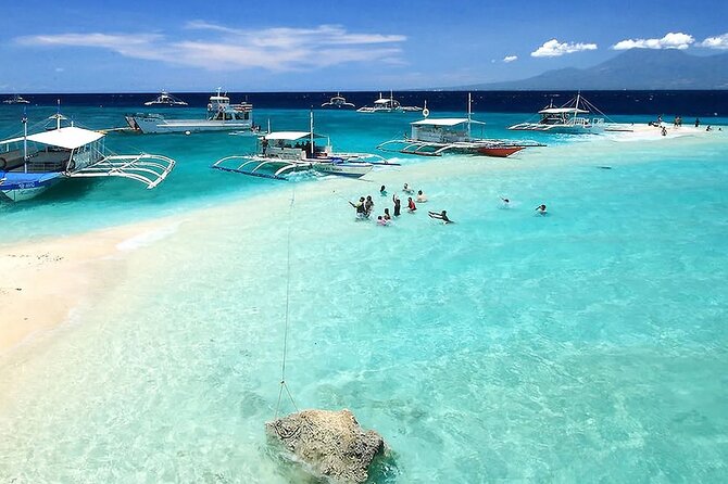 Whale Watching in Sumilon Island with Ocean View Resort and Lunch - Key Highlights You’ll Feel the Most