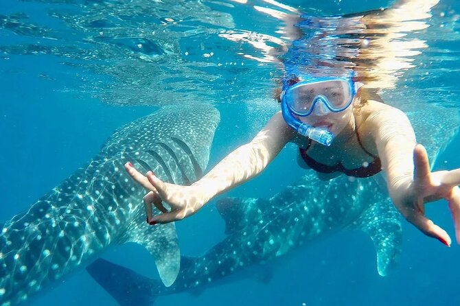 Whale Watching in Sumilon Island with Ocean View Resort and Lunch - The Early Pickup in Cebu: Timing, Meeting Point, and Group Size